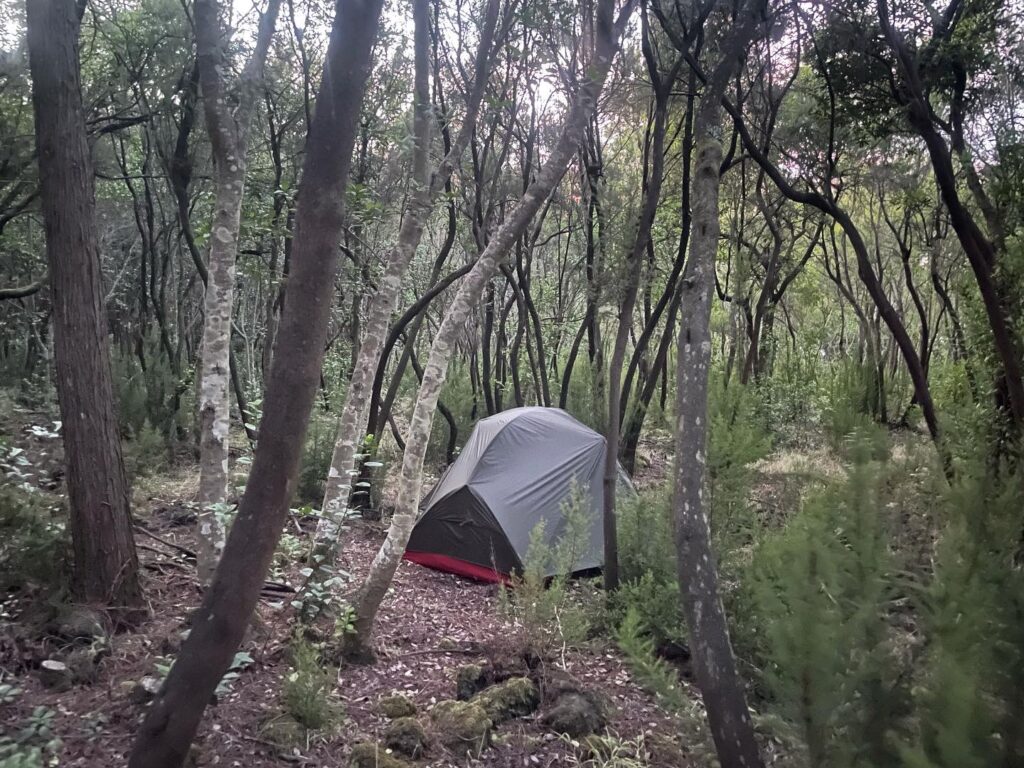 Kamperen in de natuur
