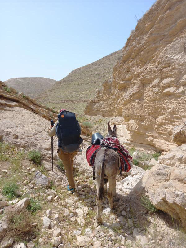 Trektocht met een ezel door Jordanië