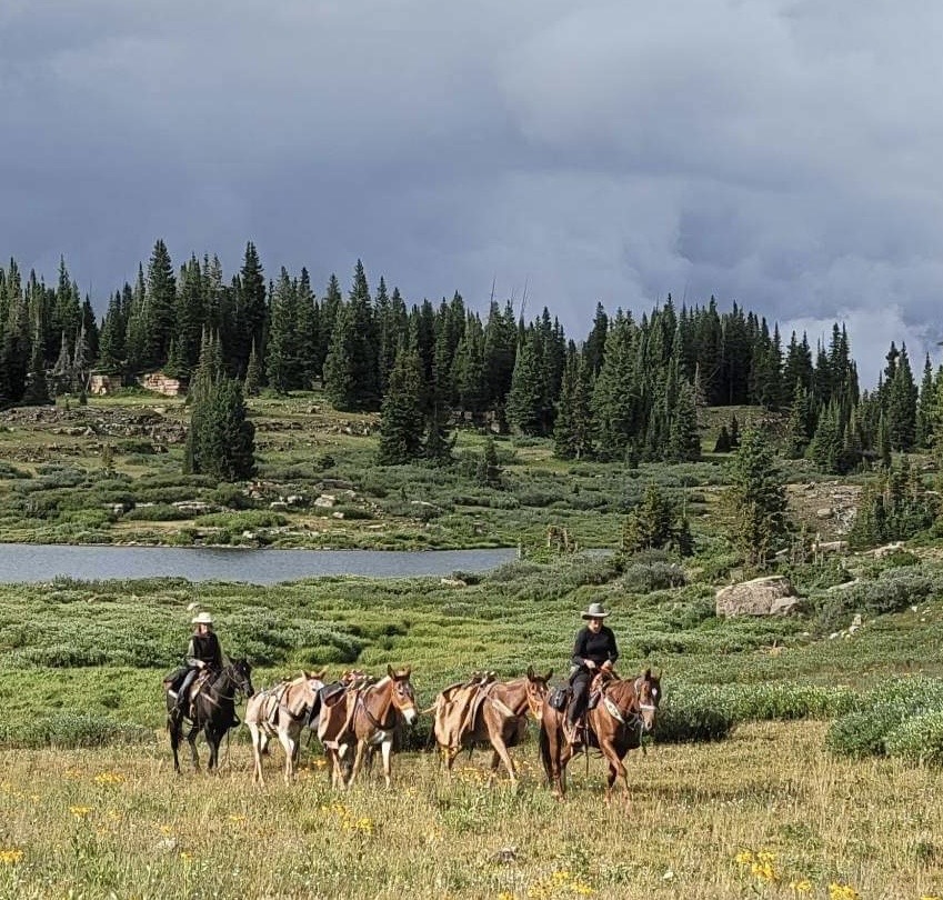 Werken in de Rocky Mountains USA